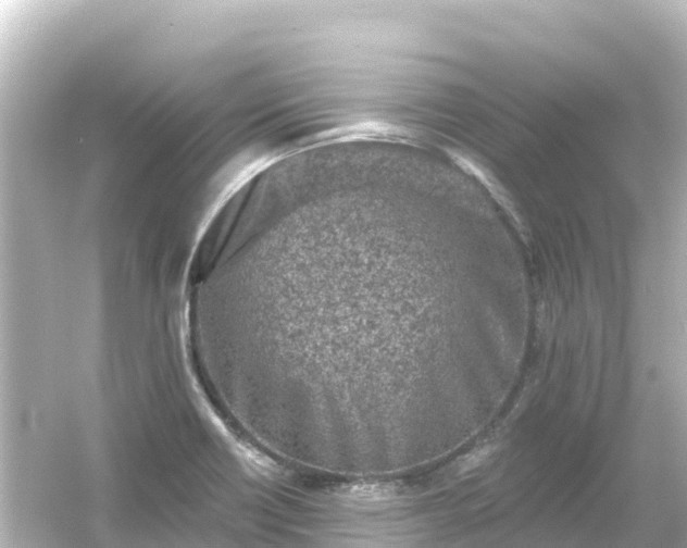 X0000054461418200508051939