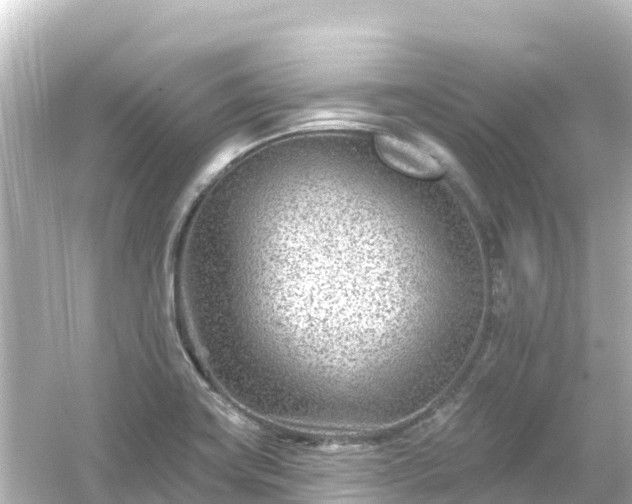 X0000054461419200508051939