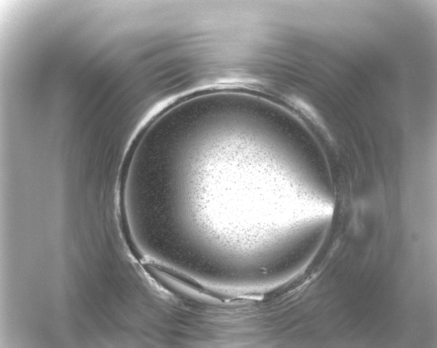 X0000054461420200508051939