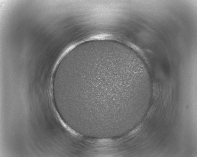 X0000054461421200508051939