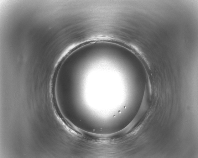 X0000054461422200508051939