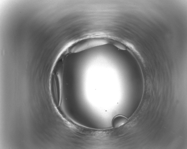 X0000054461424200508051939