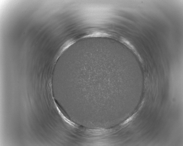 X0000054461425200508051939