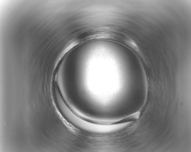 X0000054461426200508051939