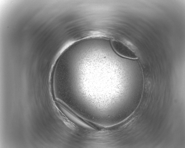 X0000054461427200508051939