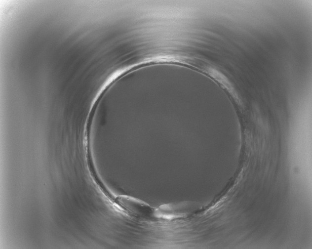 X0000054461428200508051939