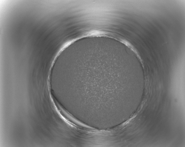 X0000054461429200508051939