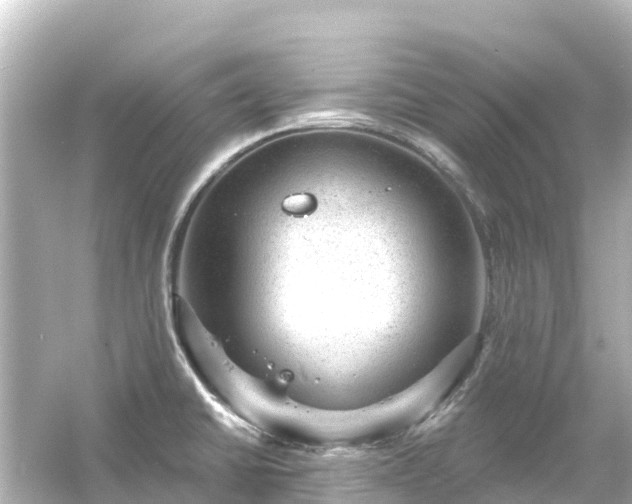 X0000054461430200508051939