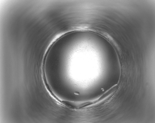 X0000054461432200508051939