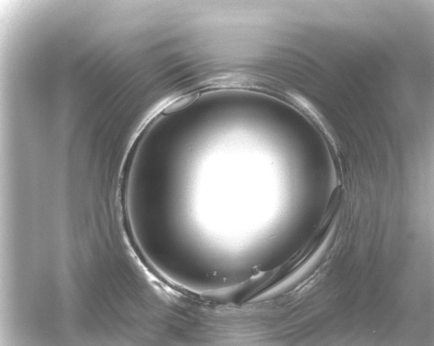 X0000054461434200508051939