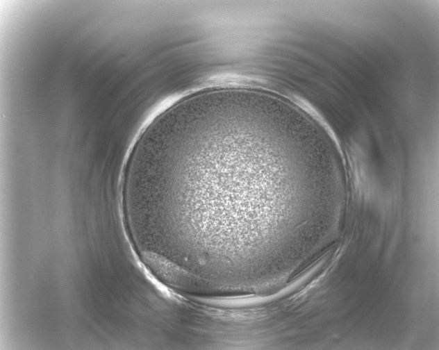 X0000054461437200508051939