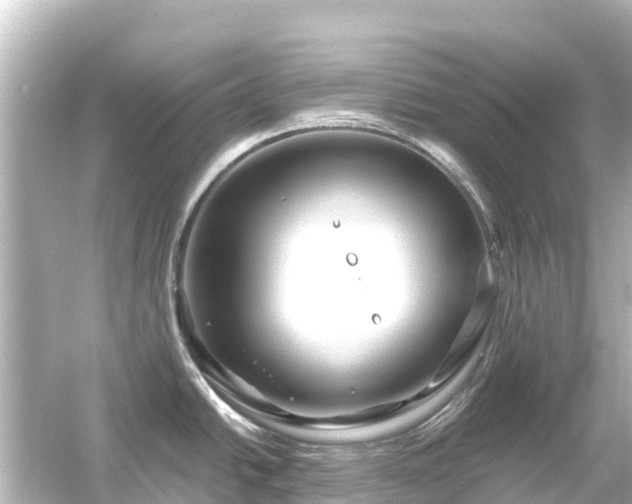 X0000054461438200508051939