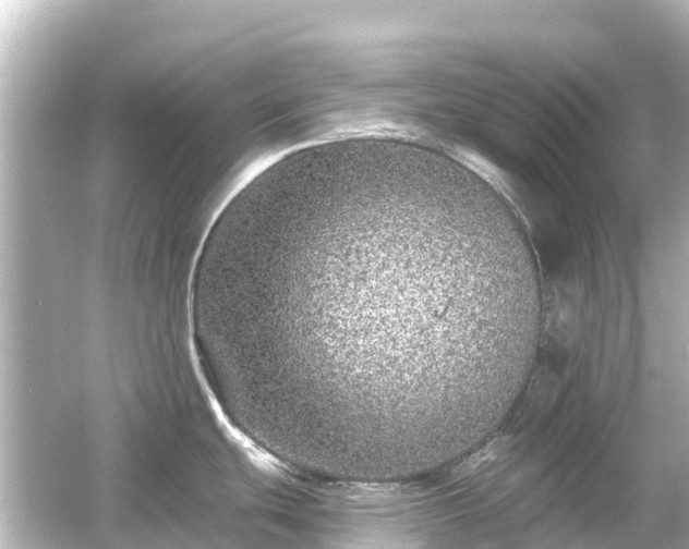 X0000054461439200508051939