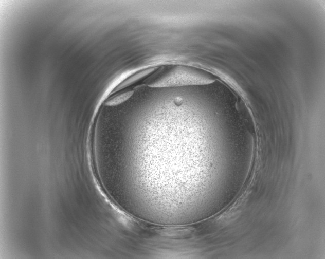 X0000054461440200508051939