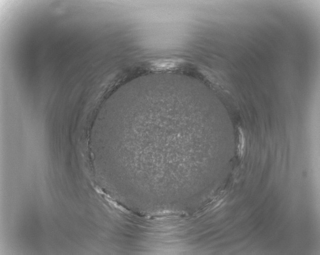 X0000054461441200508051938