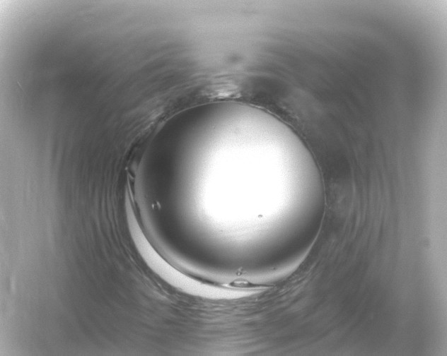 X0000054461442200508051938