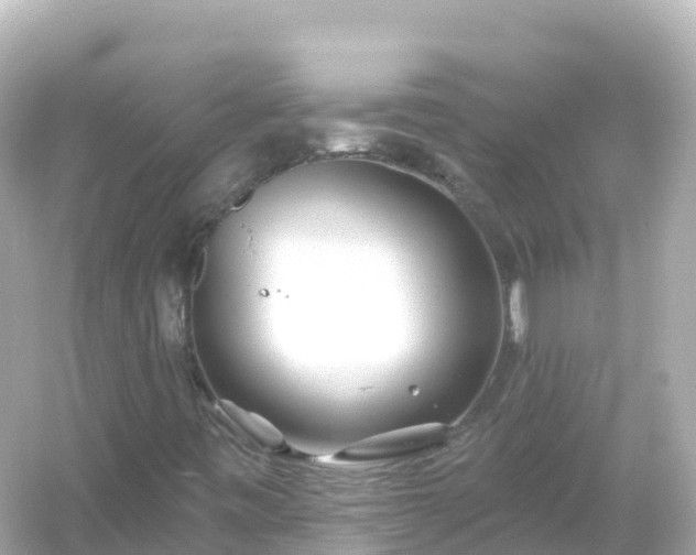 X0000054461443200508051938