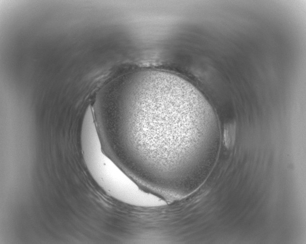 X0000054461444200508051938