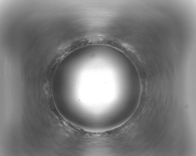 X0000054461445200508051938