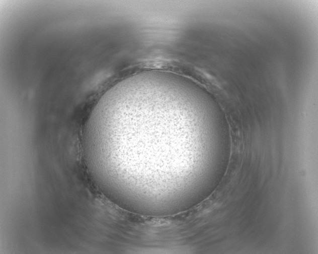 X0000054461446200508051938