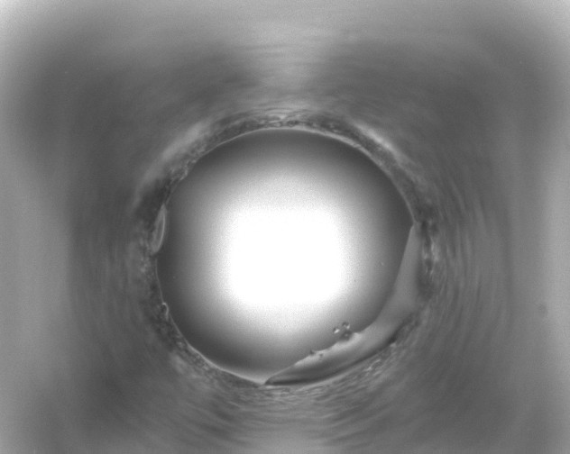 X0000054461447200508051938