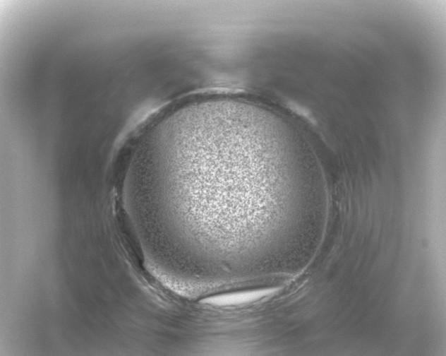 X0000054461448200508051938