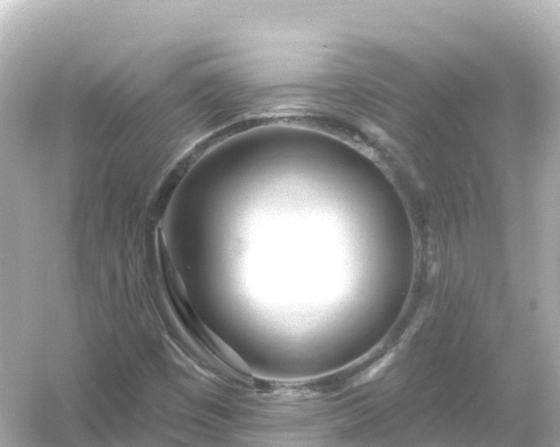 X0000054461449200508051938