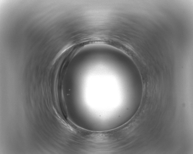 X0000054461450200508051938