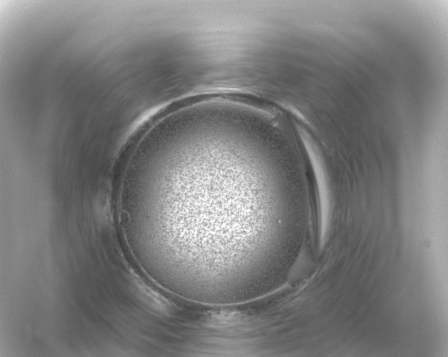 X0000054461452200508051938