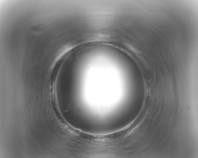 X0000054461453200508051938