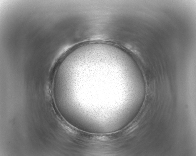 X0000054461454200508051938