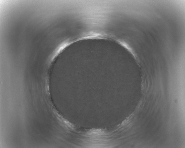 X0000054461455200508051938