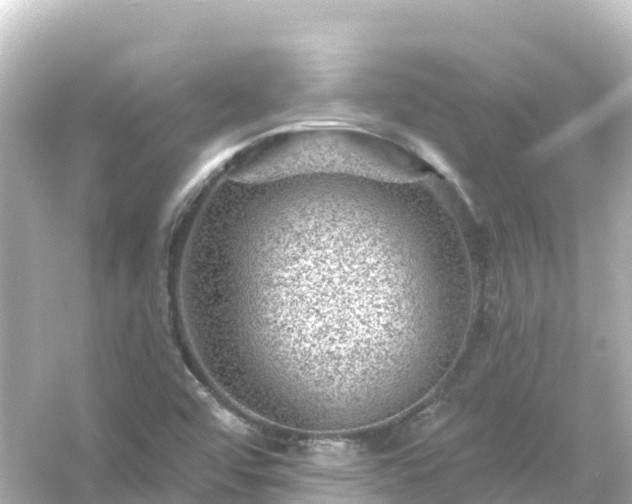 X0000054461456200508051938