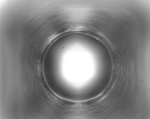 X0000054461457200508051938