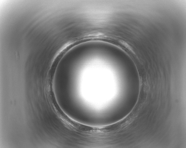 X0000054461458200508051938