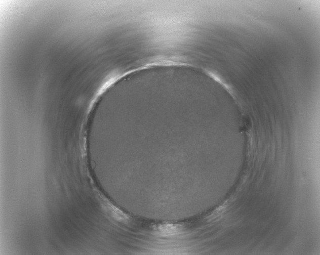 X0000054461459200508051938