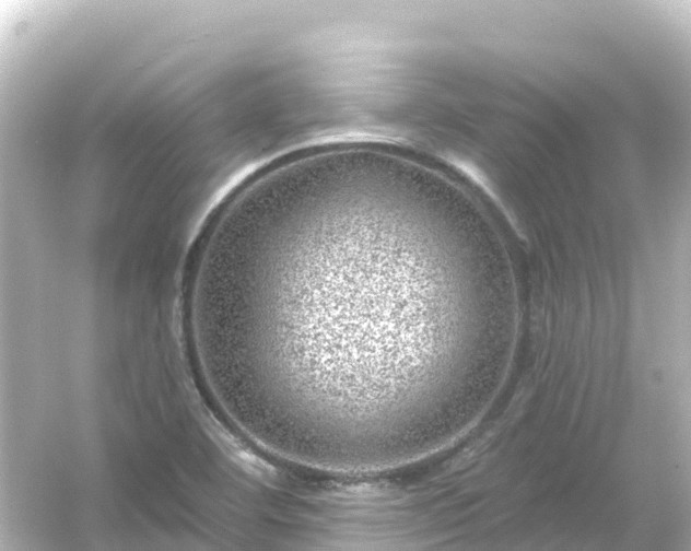 X0000054461460200508051938