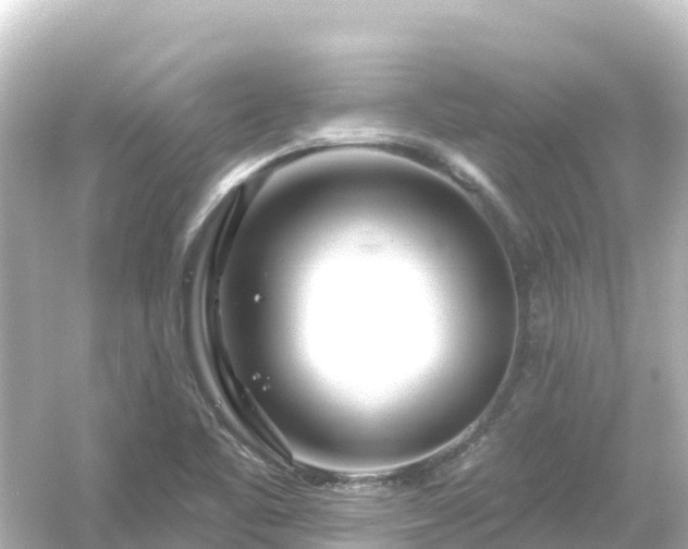 X0000054461461200508051938