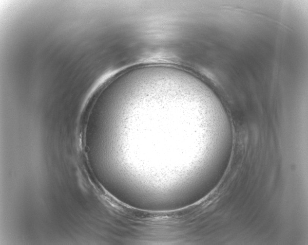 X0000054461462200508051938