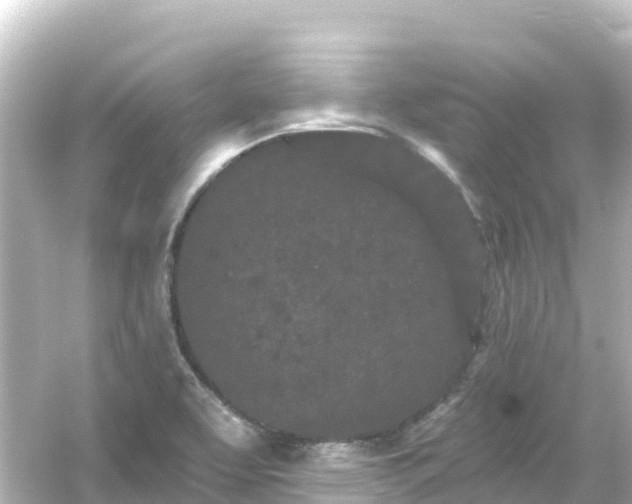 X0000054461463200508051938