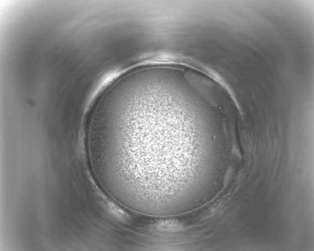 X0000054461464200508051938