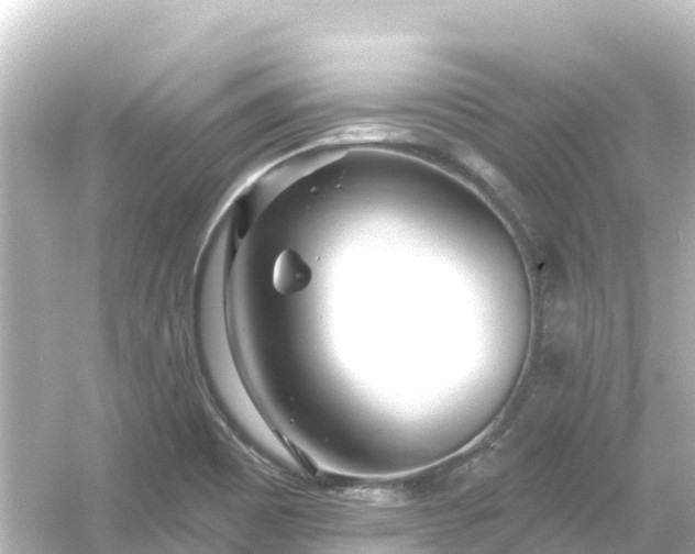 X0000054461465200508051938