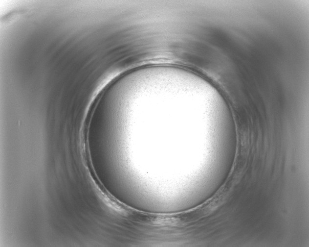 X0000054461466200508051938