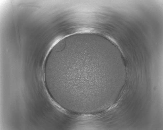 X0000054461467200508051938