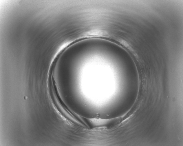 X0000054461469200508051938