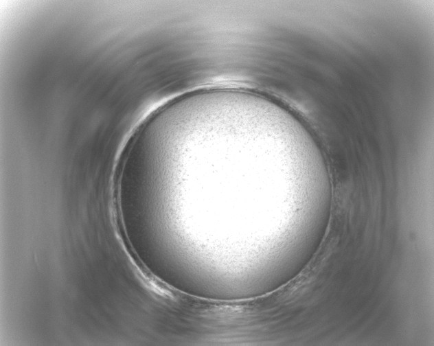 X0000054461470200508051938