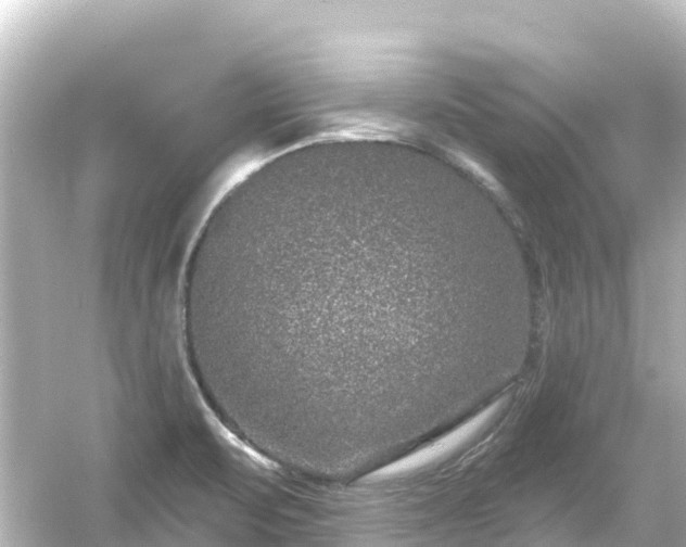 X0000054461471200508051938