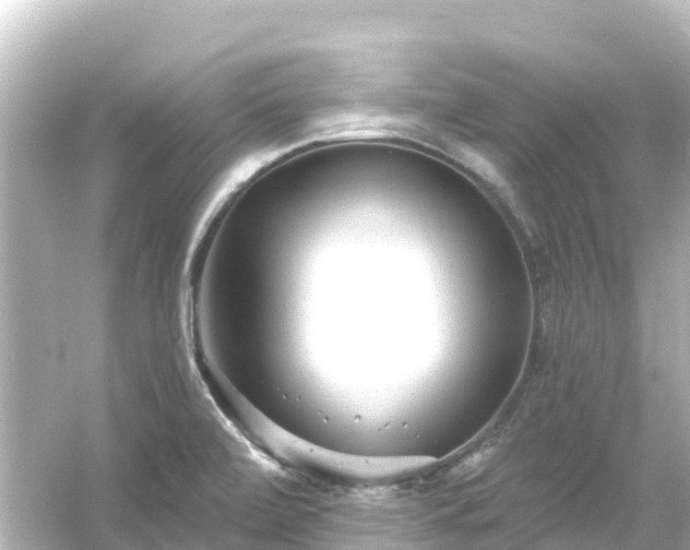 X0000054461472200508051938