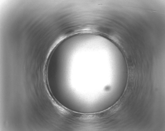 X0000054461474200508051938