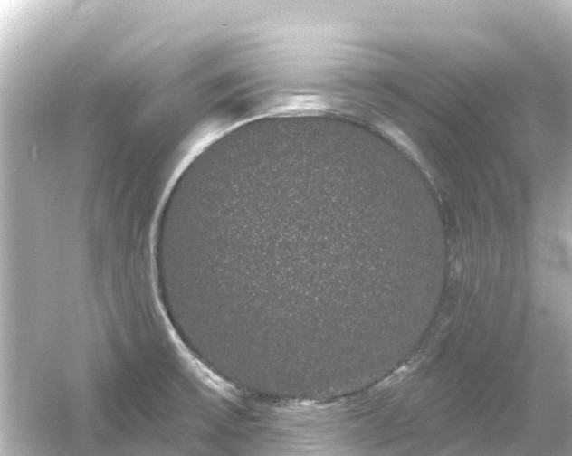 X0000054461475200508051938